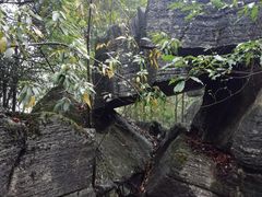 -梭布垭石林景区