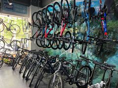 -GIANT捷安特自行车专卖店(金桥台儿庄路店)