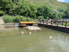 -荷塘味道(水长城店)
