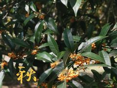 -白塘生态植物园