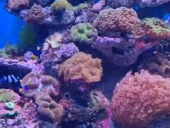 -石家庄极地海洋世界