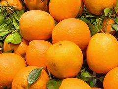 -浦江城市生活广场(江月路店)