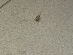 -秋色客家菜(南山店)