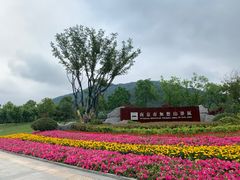 -南京市无想山景区