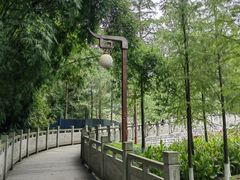 -重庆彩云湖湿地公园