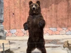 -南京金牛湖风景区