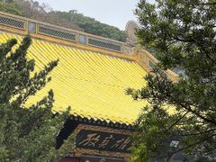 -普陀山慧济禅寺