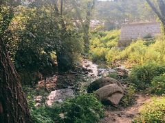 -白水寺森林公园