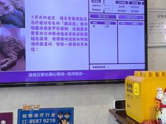 -宠爱国际动物医院·疑难骨科·心肾内科·皮肤科(太阳宫店)