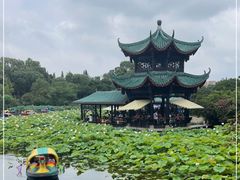 -桂湖森林公园