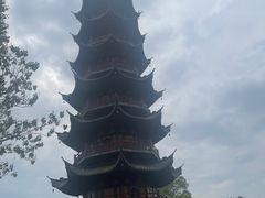 -龙华素斋(龙华路店)