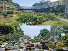 -东莞植物园