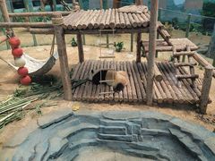 -大连森林动物园