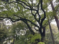 -南华禅寺