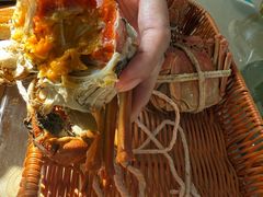 -乡乐园蟹庄·阳澄湖农家乐