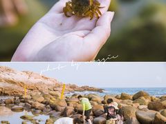 -广东惠东海龟国家级自然保护区