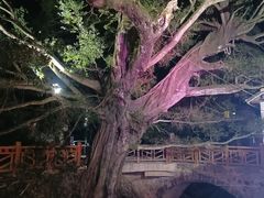 -云水谣景区