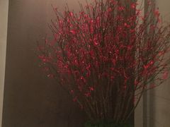 -上海柏悦酒店
