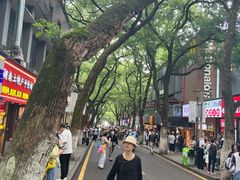 -柠季·手打柠檬茶(岳麓山登高路店)