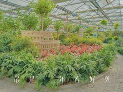 -南宫五洲植物乐园