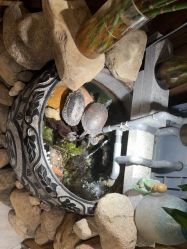 -至爱至信新中式SPA疗愈会所