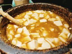 石锅鸡汤豆腐-绿茶餐厅(财富购物中心店)