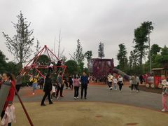 -枫香湖儿童公园