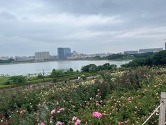 -立新湖公园