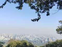 -大蜀山国家森林公园