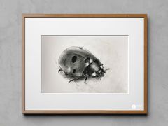 -美路缘艺术空间