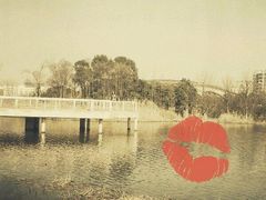 景点-新江湾城公园