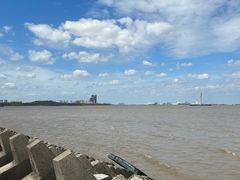 -上海滨江森林公园