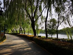 -西安汉城湖景区