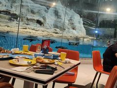 -帝企鹅自助餐厅•儿童岛•真企鹅(长隆企鹅酒店)