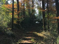 -莫干山风景区