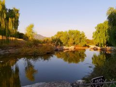 -北京西山国家森林公园