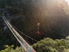 -九龙江国家森林公园