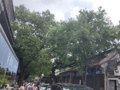 -北京国子监胡同
