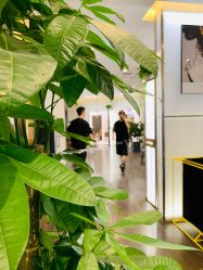 -崇尚GAVIN STYLE臻选