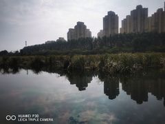 -前关湿地公园