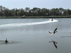 -南大港湿地风景区