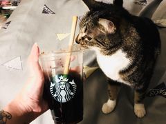 -星巴克(宝山万达店)