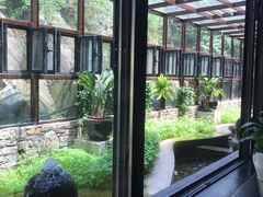 -Local泰莲庭(虹鳟鱼店)