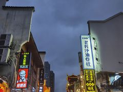 -文和友老长沙臭豆腐(太平街二店)