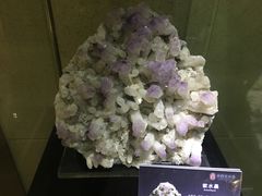 -中华赏石园