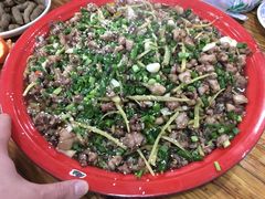 尖椒兔-东吴霸王兔(松青路店)