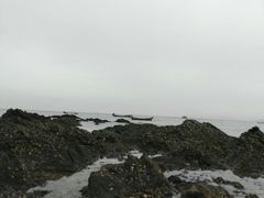 景点-大连金石滩滨海国家地质公园