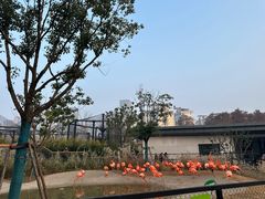 -武汉动物园