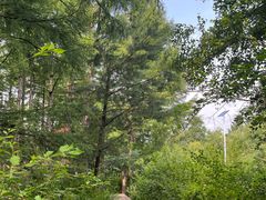 -六鼎山文化旅游区