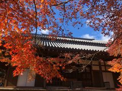 -常寂光寺